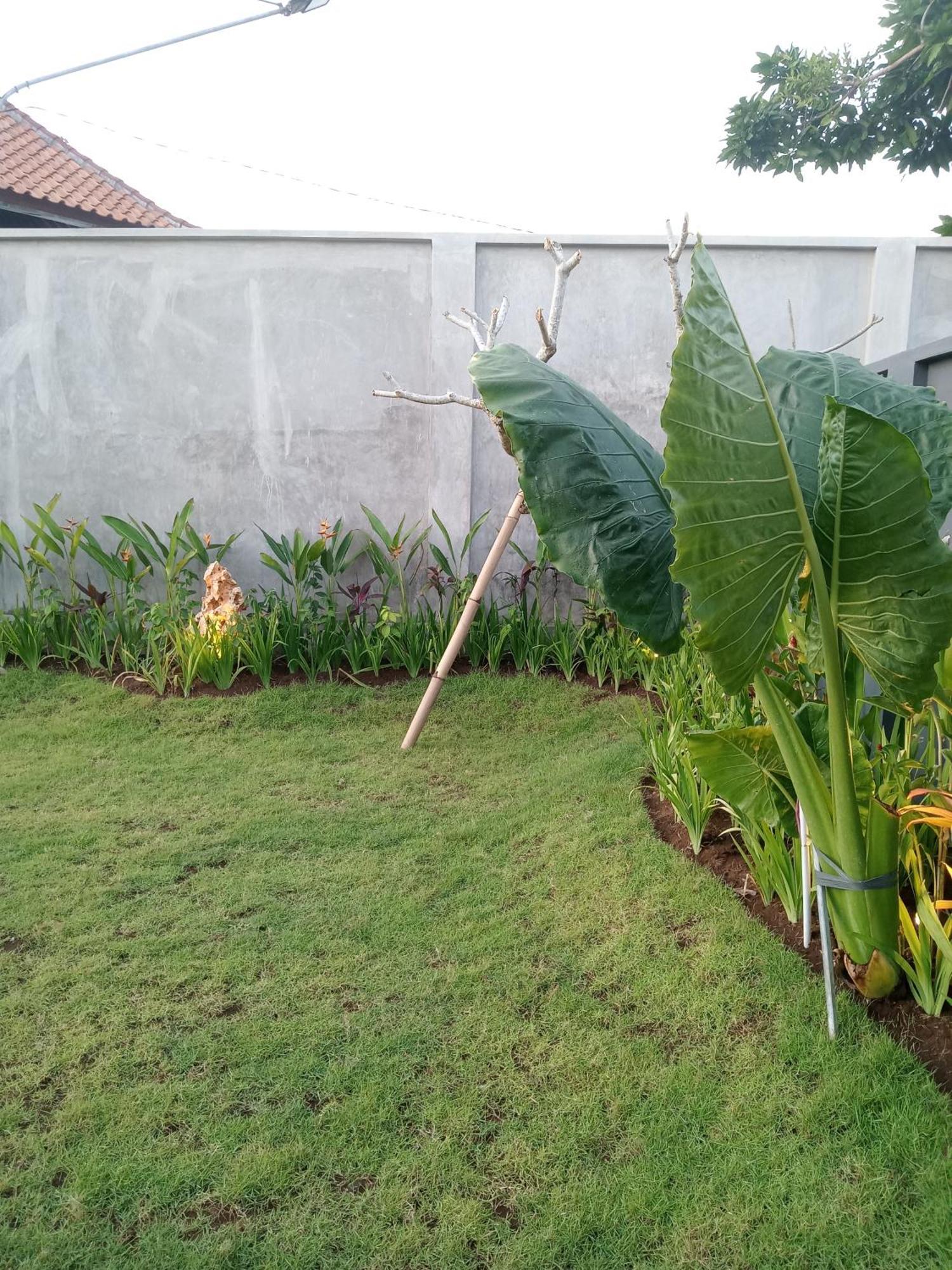 Parama Homestay Balangan Uluwatu Kültér fotó