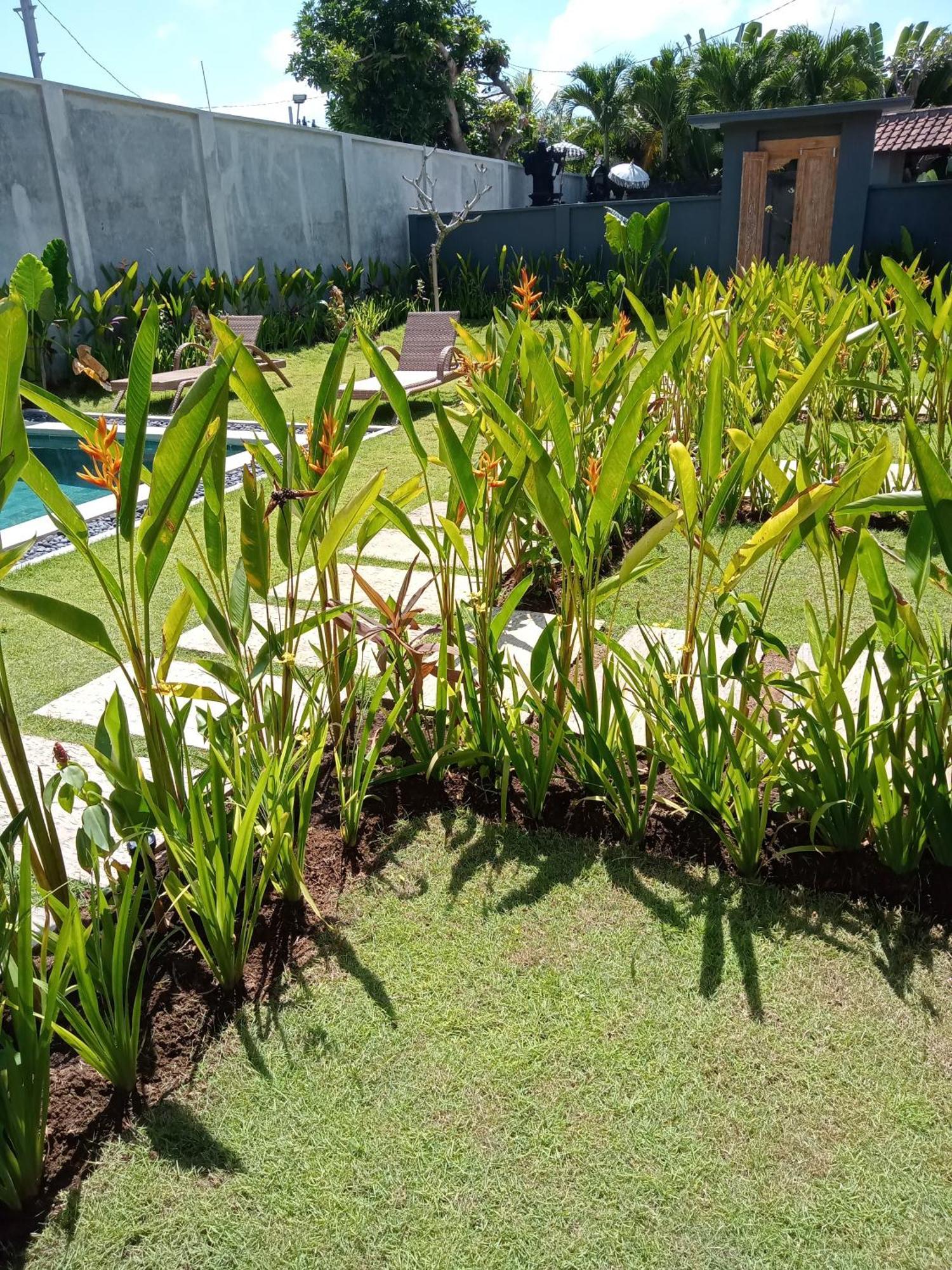 Parama Homestay Balangan Uluwatu Kültér fotó